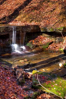 A Little Falls in Fall