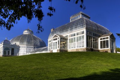 Botanical Gardens On The North Side Looking Up