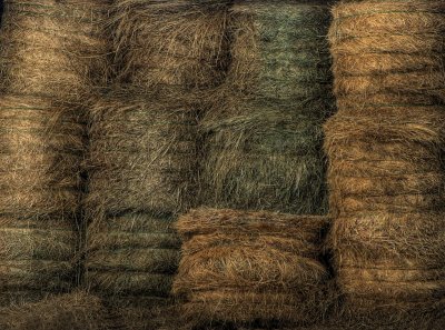 Hay In The Barn