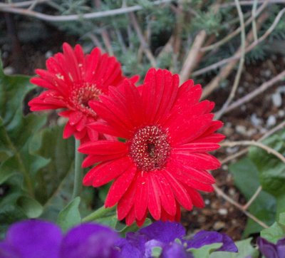 DSC_1432.JPG