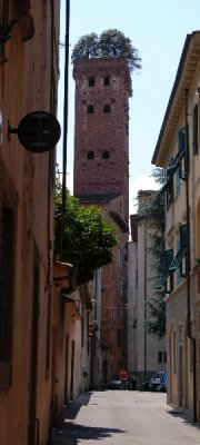 DSC_4160.JPG