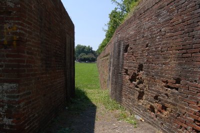 DSC_4201.JPG
