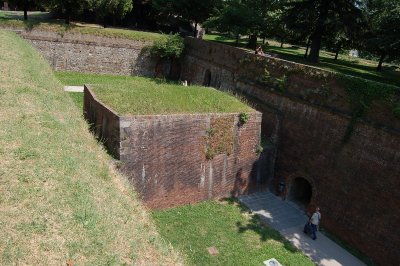 DSC_4203.JPG