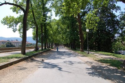 DSC_4204.JPG
