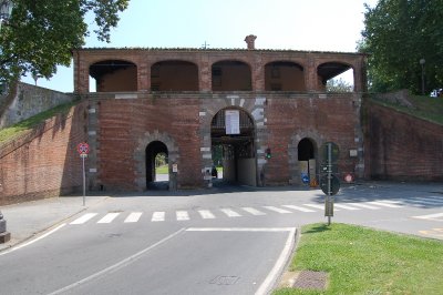 DSC_4205.JPG
