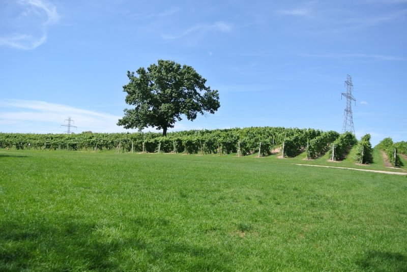 round barn winery