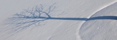 Shadow