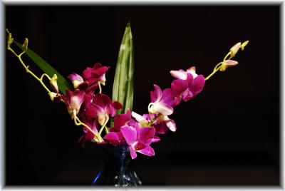 ...bouquet