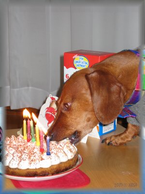 Maxs 6th Birthday