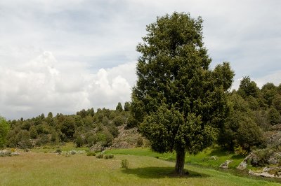 g4/69/576069/3/91778430.nhA5cVJY.jpg