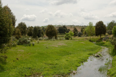 g4/69/576069/3/91778431.NfVysD1S.jpg