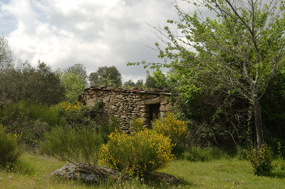 g4/69/576069/3/91778453.Z7MxPWe6.jpg