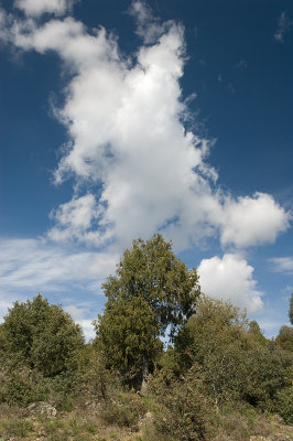 g4/69/576069/3/91778464.lZZPJLzJ.jpg