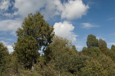 g4/69/576069/3/91778466.d8vwEqrb.jpg