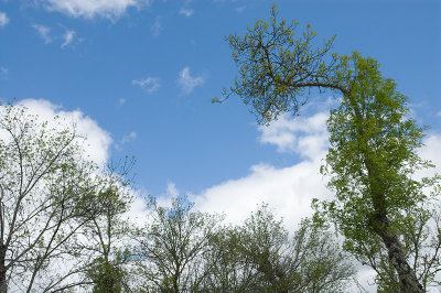 g4/69/576069/3/91778792.3qoiomsk.jpg