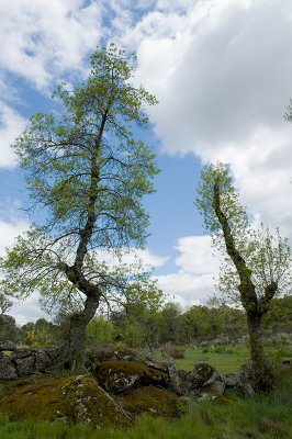 g4/69/576069/3/91778876.s4DLYPE4.jpg