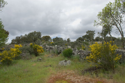 g4/69/576069/3/91778878.c9CIkali.jpg
