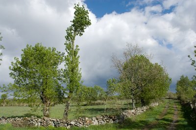 g4/69/576069/3/91778886.AsComE5G.jpg