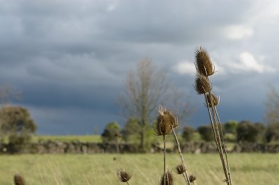 g4/69/576069/3/91778894.EwNJx2AN.jpg
