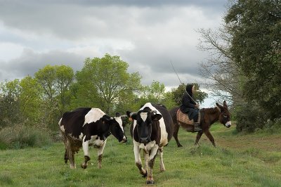 g4/69/576069/3/91778976.UkPAQk6n.jpg