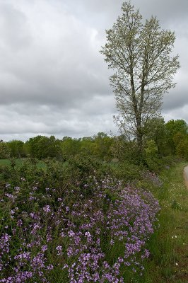 g4/69/576069/3/91779006.SAiWcj3V.jpg