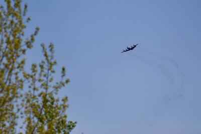 _MG_9584.jpg