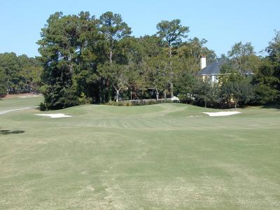 16 Green Before.jpg