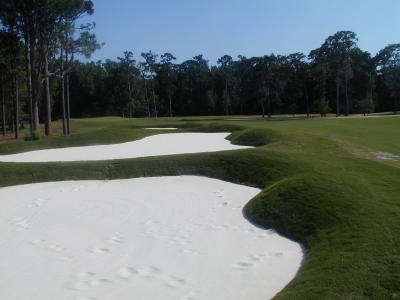 11 Restored Fairway Bunkers Left