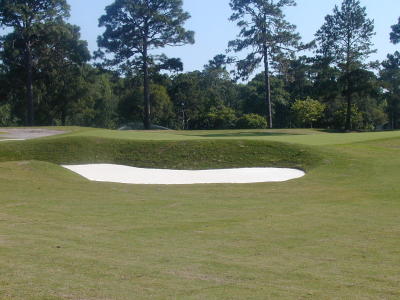 3 Lf Greenside (after)