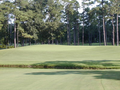 Cape Fear Hole #4