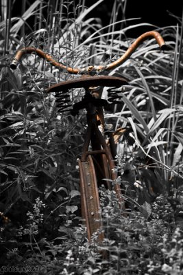 Vieille bicyclette dans le jardin_Old bicycle in the garden
