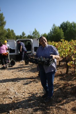 some grapes to take home