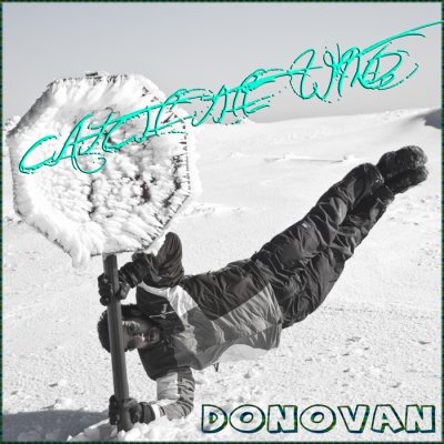 Donovan: Catch the Wind