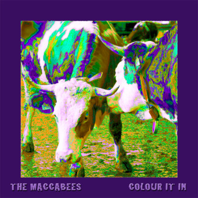 the maccabees: colour it in