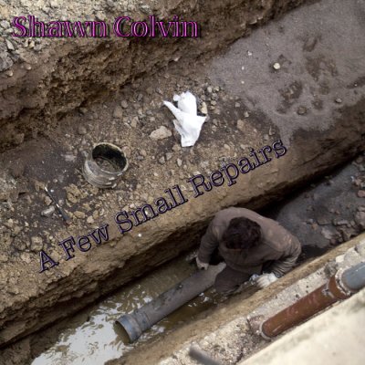 Shawn Colvin: A Few Small Repairs