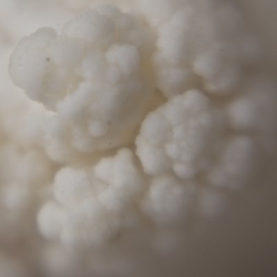 February # 2: What's for lunch?