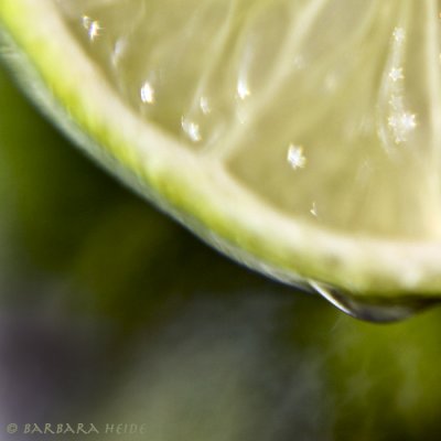 February 15: juicy lime