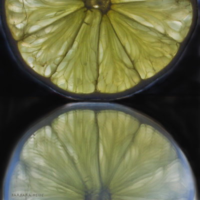 February 16: Lime Reflection