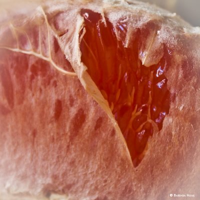 February 21: Grapefruit Heart