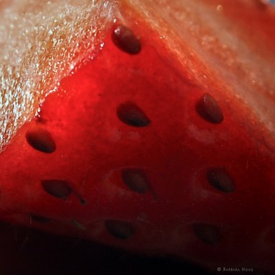 Strawberry Detail