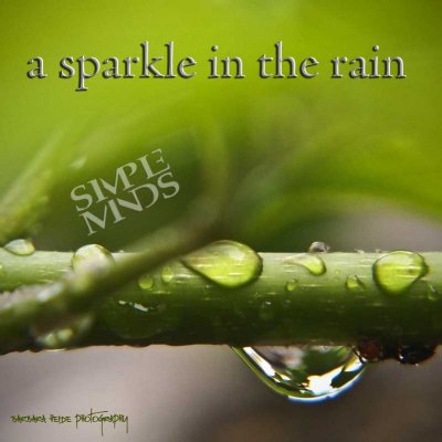 Simple Minds - a Sparkle in the Rain