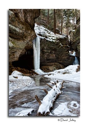 _DSC0730.jpg