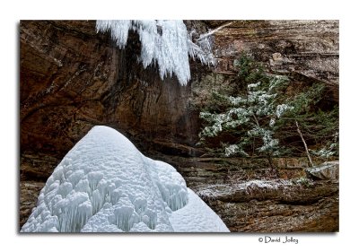 _DSC0755.jpg