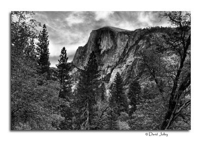 Half Dome Gallery - CLICK to ENTER