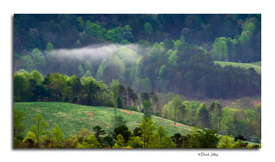 Mountain Valley Mist
