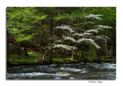 _DSC0942.jpg