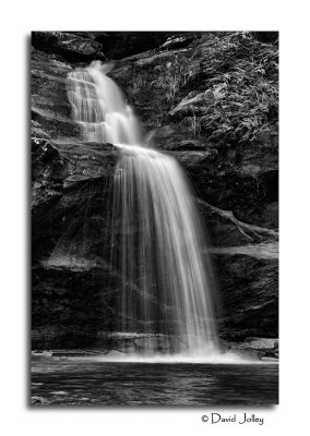 _DSC0149 bw.jpg