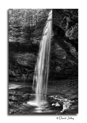 _DSC0133 bw.jpg
