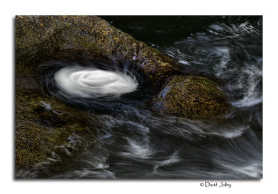 _DSC1262