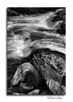 _DSC2465